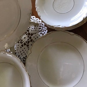 RARE 1910s Antique Replacement China by WS George Radisson 8 Pieces