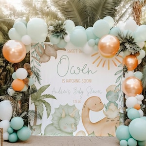 Dinosaur Baby Shower Etsy