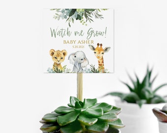 Watch Me Grow-Tags, bearbeitbares PDF, Geschenkanhänger, Safari-Babyparty-Geschenkanhänger, druckbare Anhänger, Dschungeltier, Pflanzenanhänger, Sofortiger Download, SA2020