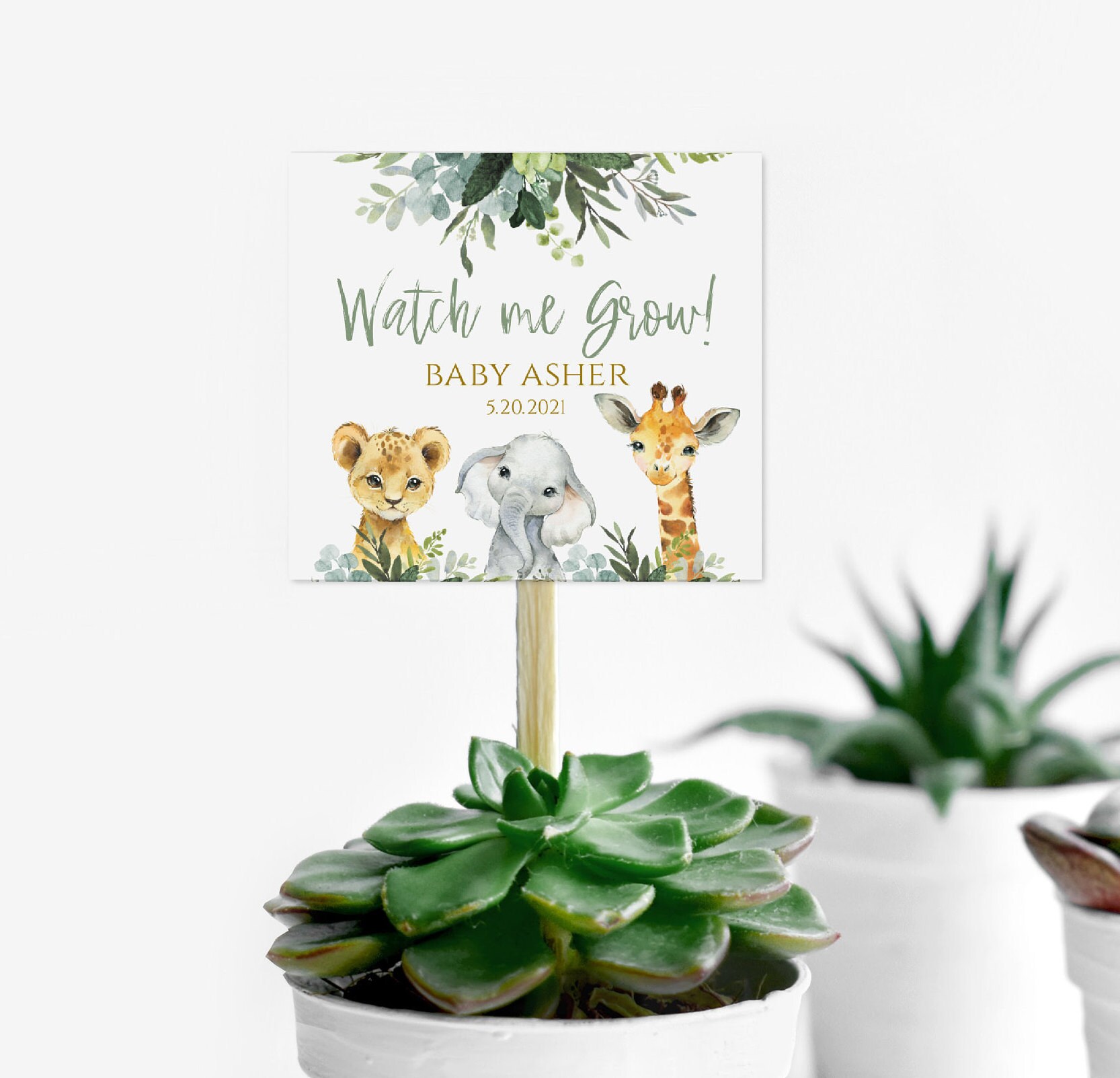 Watch Me Grow Tags Editable PDF Favor Tags Safari Baby | Etsy