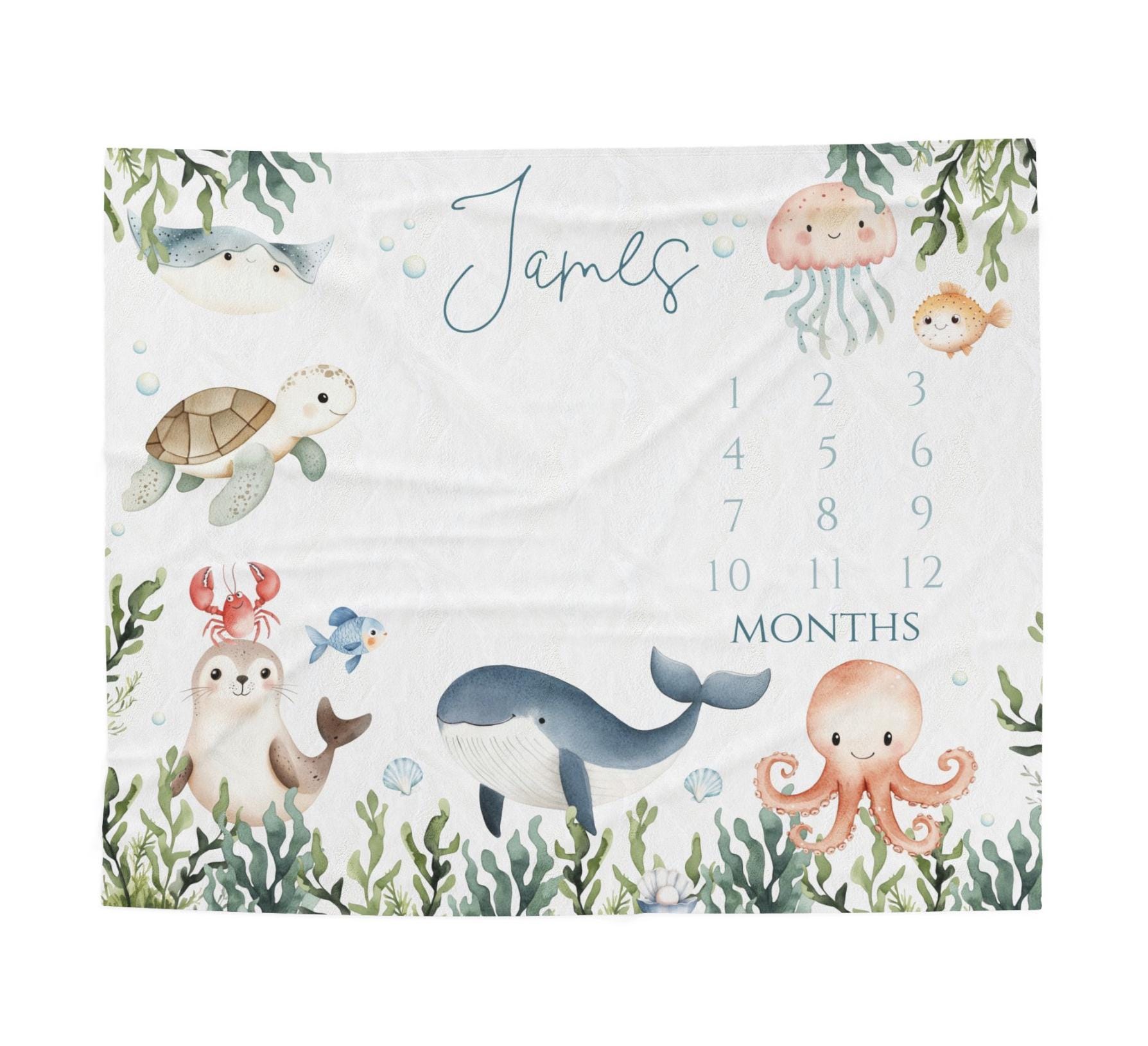 Under the Sea Milestone Baby Blanket/ Personalized Boy Baby Blanket ...