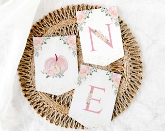 Editable Blush Pink Pumpkin Birthday Banner- First Birthday| ANY LETTERS| Printable Pumpkin Birthday Party Decor | P56