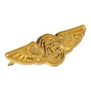 May include: Gold-colored metal pin with a circular design featuring the letters "A.I.C." surrounded by wings.