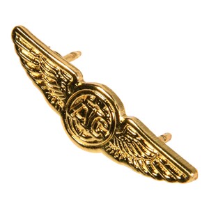 May include: Gold-colored metal pin with a circle in the center that says "ATC" and wings on either side.