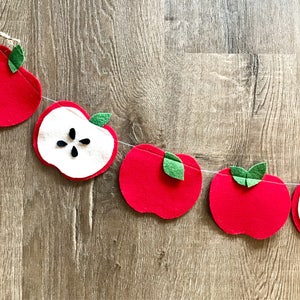 May include: A felt apple garland with red apples and white apple slices with black seeds. The garland is strung with twine and has green felt leaves.