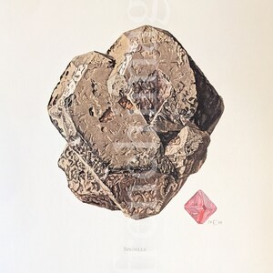 Può includere: Illustrazione di una grande formazione minerale grigia e strutturata con un cristallo rosa a forma di diamante più piccolo. La parola "Spinelle" è stampata sotto. L'immagine ha un'estetica vintage.