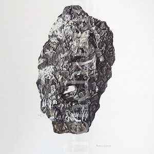 Könnte beinhalten: Detaillierte Illustration eines dunkelgrauen Anglesit-Mineralexemplars. Das Kunstwerk zeigt das Mineral mit einer strukturierten, kristallinen Oberfläche, vor einem weißen Hintergrund. Der Text "Anglesite" ist unten sichtbar.