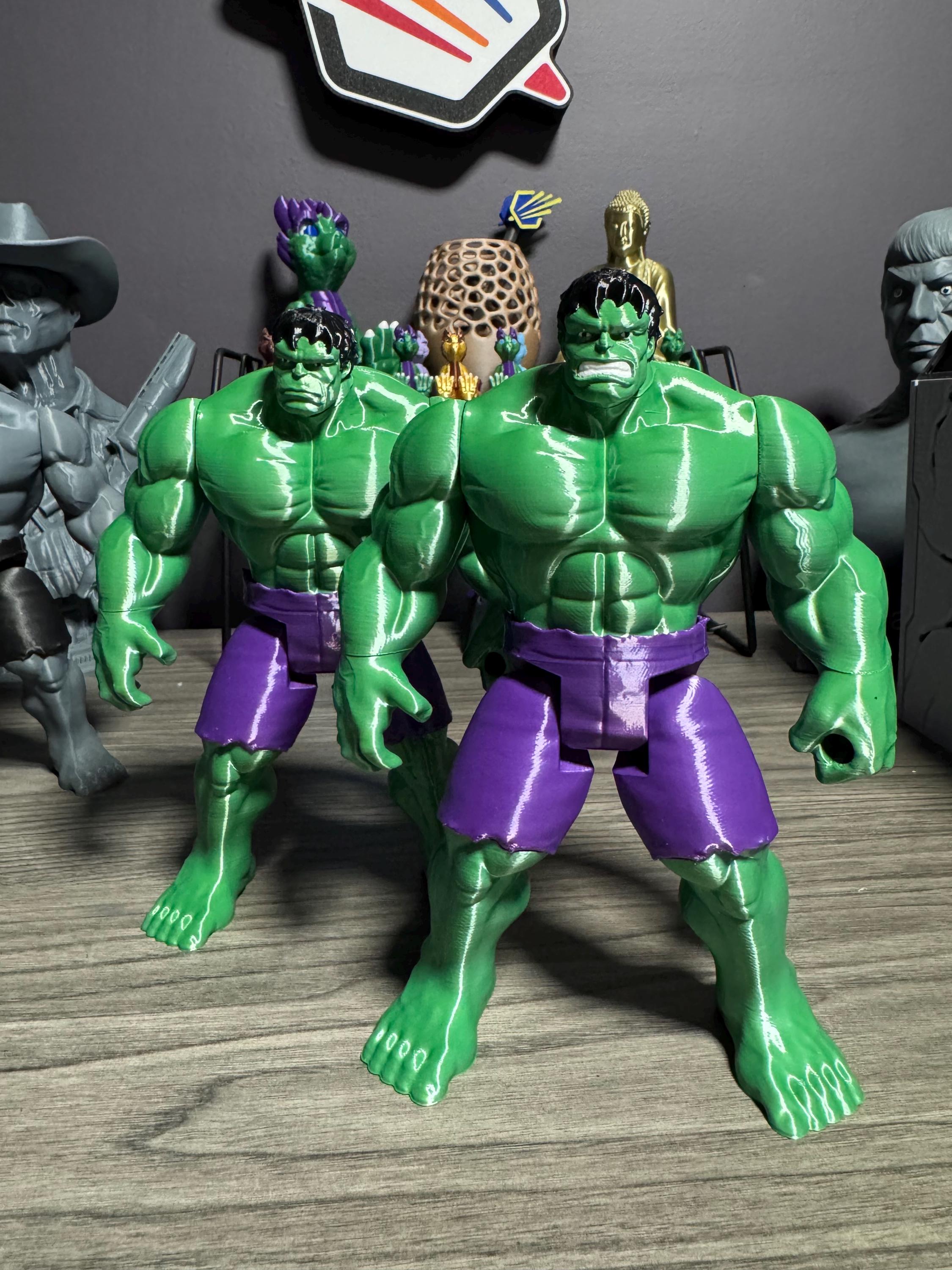 THE INCREDIBLE HULK LEADER 1996 フィギュア Hulk Action Figure - TAS 96 - 7 Inch Tall - Custom Colors