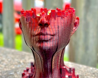 3D Printed Polygon Planter: Geometric Face Vase, Modern Desk Organizer