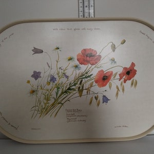 Rare Vintage, Country Diary, of an, Edwardian Lady, Melamine, serving tray, Webb  Bower Ltd, 1977