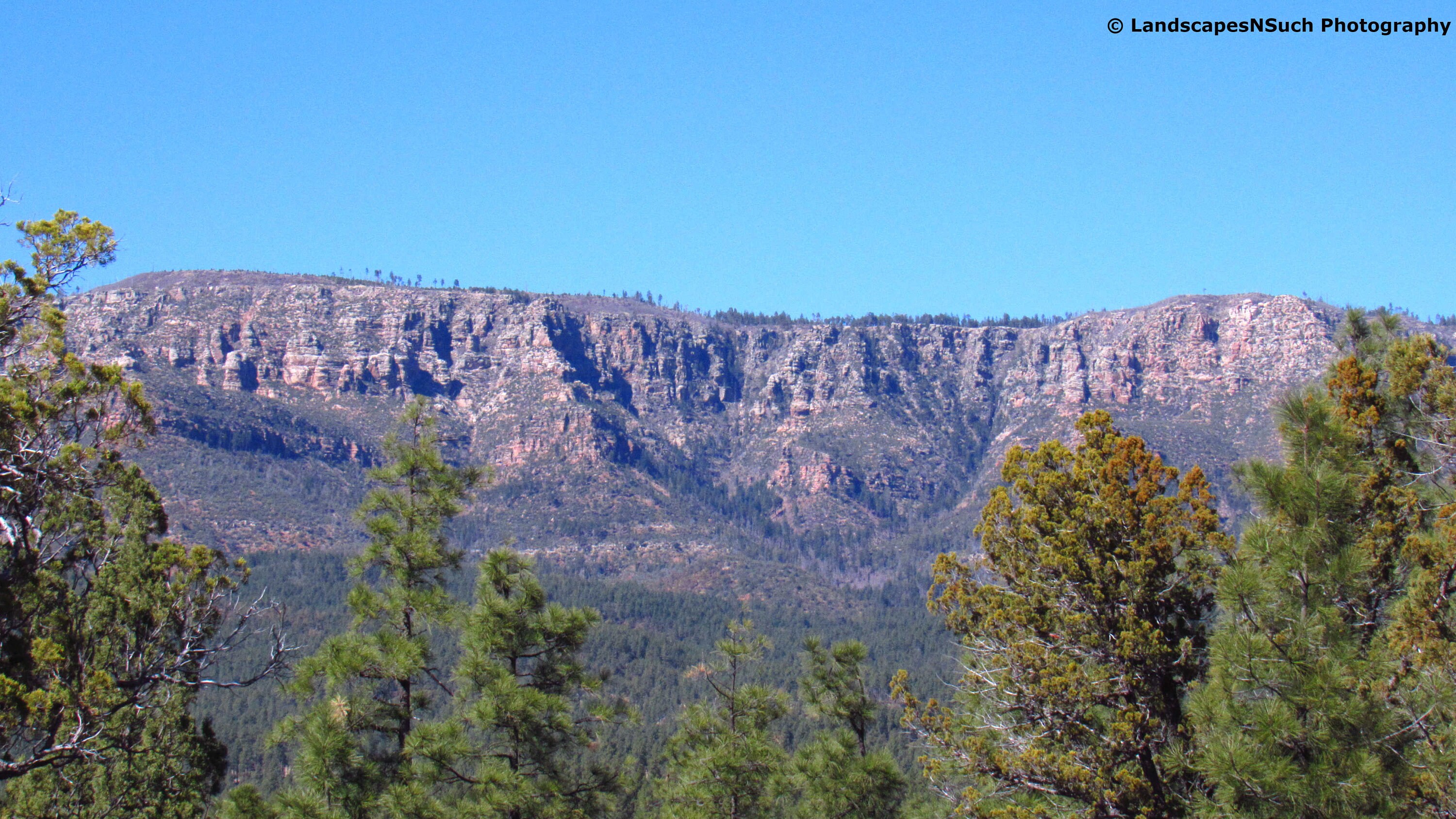 Mogollon Rim Etsy