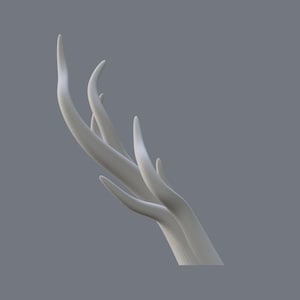 Peut inclure: Une sculpture blanche stylis&eacute;e en forme de ramification, &eacute;voquant des bois de cerf ou une branche d'arbre. Les lignes lisses et courbes, ainsi que la couleur blanc cass&eacute;, cr&eacute;ent une esth&eacute;tique minimaliste. Sur fond gris.