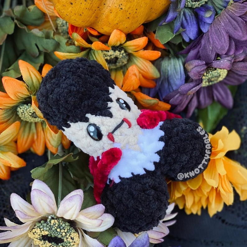 Peut inclure: Un jouet en peluche crochet&eacute; en forme de vampire avec une cape rouge et un col blanc. Le jouet a les cheveux noirs, un visage blanc et une bouche rouge avec des crocs. Le jouet est entour&eacute; de fleurs jaunes et violettes.