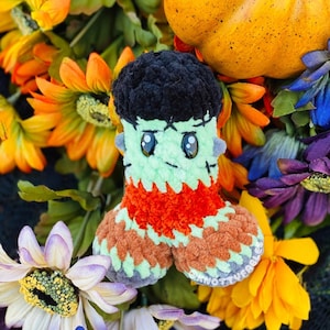 Peut inclure: Jouet en peluche Frankenstein en crochet vert avec des cheveux noirs, un pantalon en crochet orange et marron et de grands yeux. Le jouet est entour&eacute; de fleurs aux couleurs d'automne.