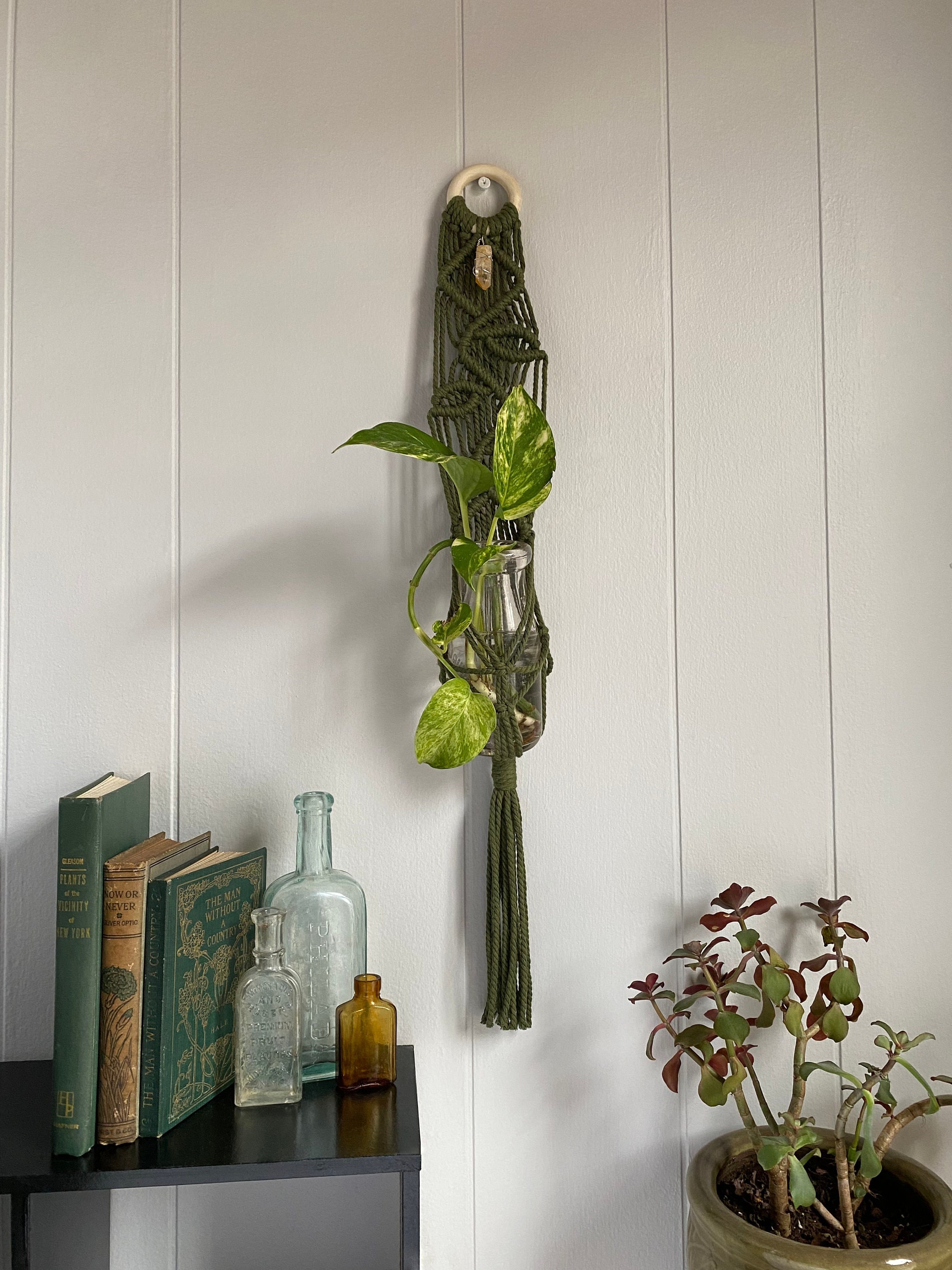 Diamond Vine Crystal Macramé Plant Hanger
