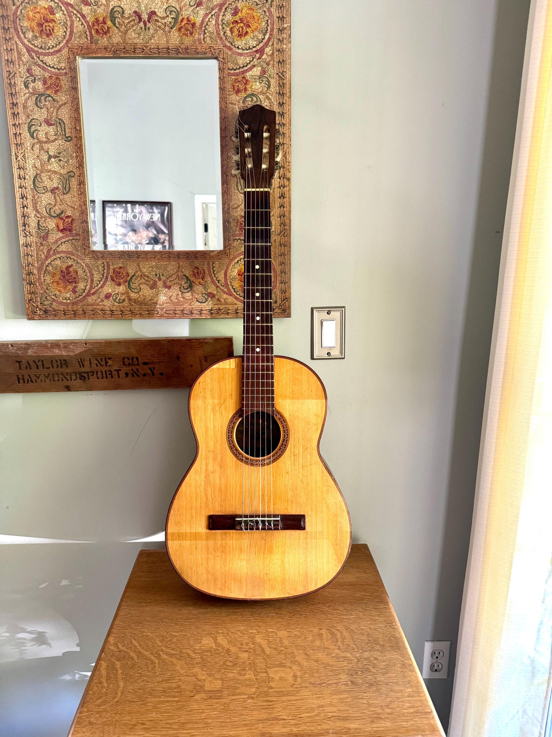 A Vintage 60's Giannini Acoustic Guitar | Giannini Model 901