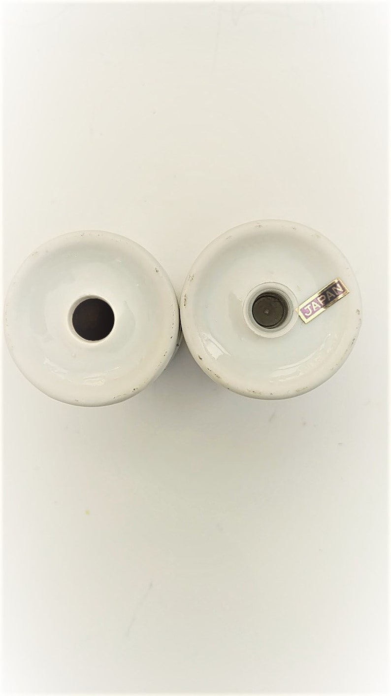 Artic Rose Japan Porcelain Shakers