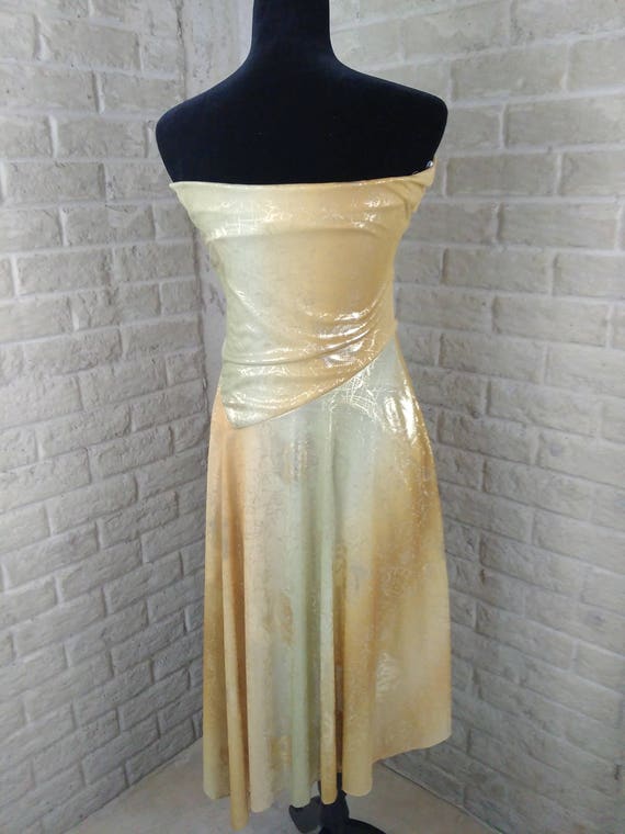 Vintage Flapper Costume Dress