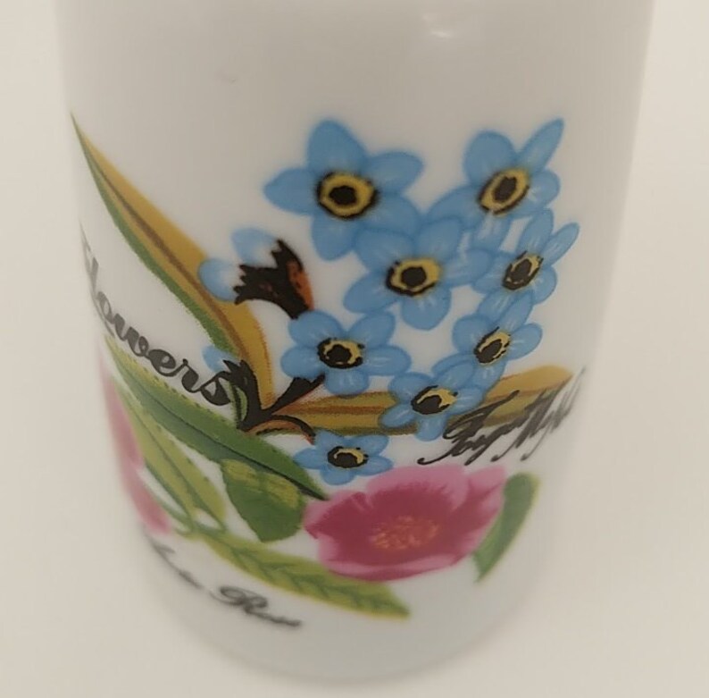 Artic Rose Japan Porcelain Shakers