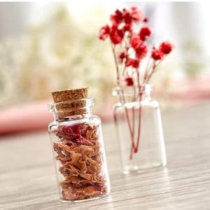 Mini Glass Cork Bottle Potion/Message