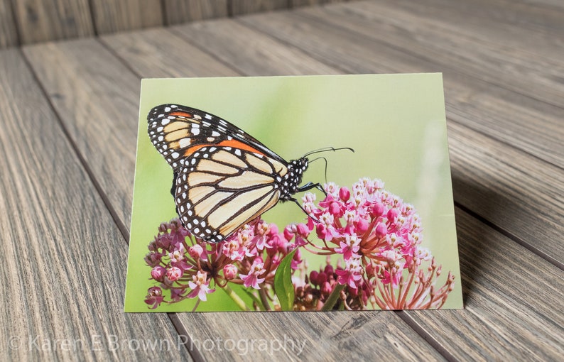 Set of 12 Butterfly Note Cards Butterfly Stationery Folded | Etsy