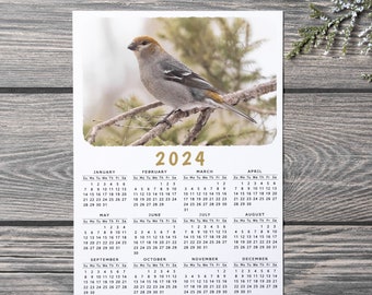 Calendrier magnétique des oiseaux 2024, Calendrier du Gros-bec des pins, Calendrier magnétique du réfrigérateur, Calendrier magnétique, Calendrier magnétique 5x7, Minnesota Bird