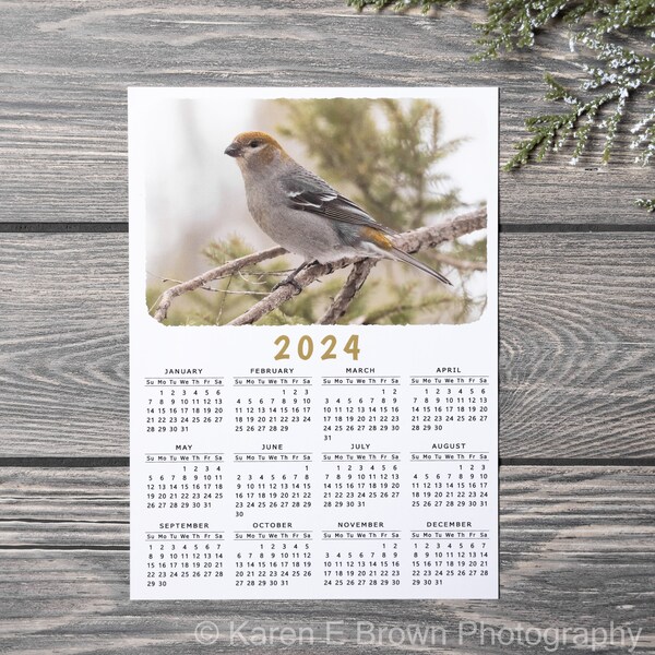 2024 Magnetic Bird Calendar, Pine Grosbeak Calendar, Refrigerator Magnet Calendar, Magnetic Calendar, 5x7 Magnetic Calendar, Minnesota Bird