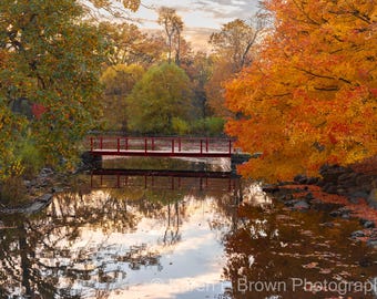 Michigan Autumn River Photography Print, Vivid Fall Colors
