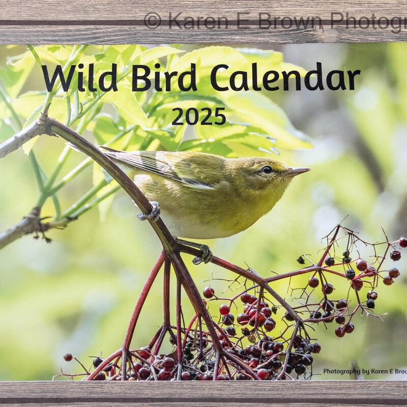 Nature Calendar Etsy