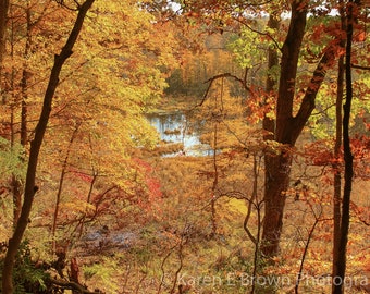 Michigan Autumn Landscape Photography, Fall Colors Art Print