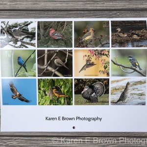 2024 Bird Wall Calendar, Songbird Calendar, Michigan Birds Calendar, Eastern Birds Calendar, Nature Calendar, Bird Photography Calendar image 2