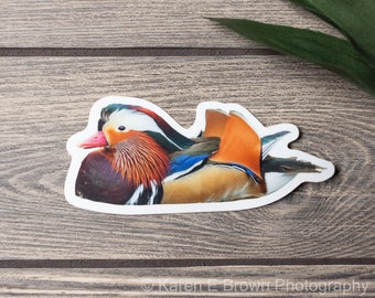 Mandarin Duck Sticker, Die Cut Duck Sticker, Mandarin Duck Photo Sticker, Bird Sticker, Wildlife Sticker, Vinyl Sticker, Laptop Sticker