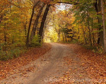 Fall Country Road Photography Print, Michigan Autumn Landscape