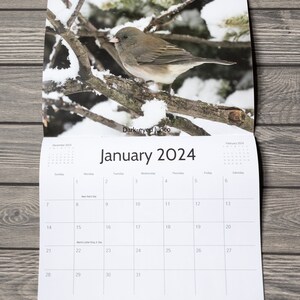 2024 Bird Wall Calendar, Songbird Calendar, Michigan Birds Calendar, Eastern Birds Calendar, Nature Calendar, Bird Photography Calendar image 3