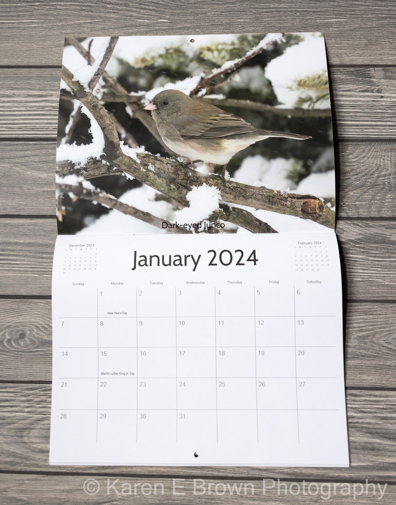 2024 Bird Wall Calendar, Songbird Calendar, Michigan Birds Calendar, Eastern Birds Calendar, Nature Calendar, Bird Photography Calendar image 3