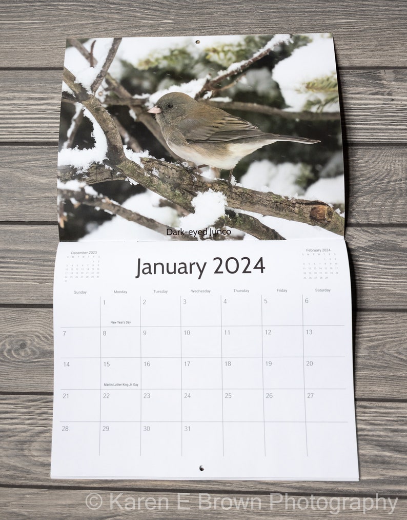 2025 Bird Wall Calendar, Songbird Calendar, Michigan Birds Calendar
