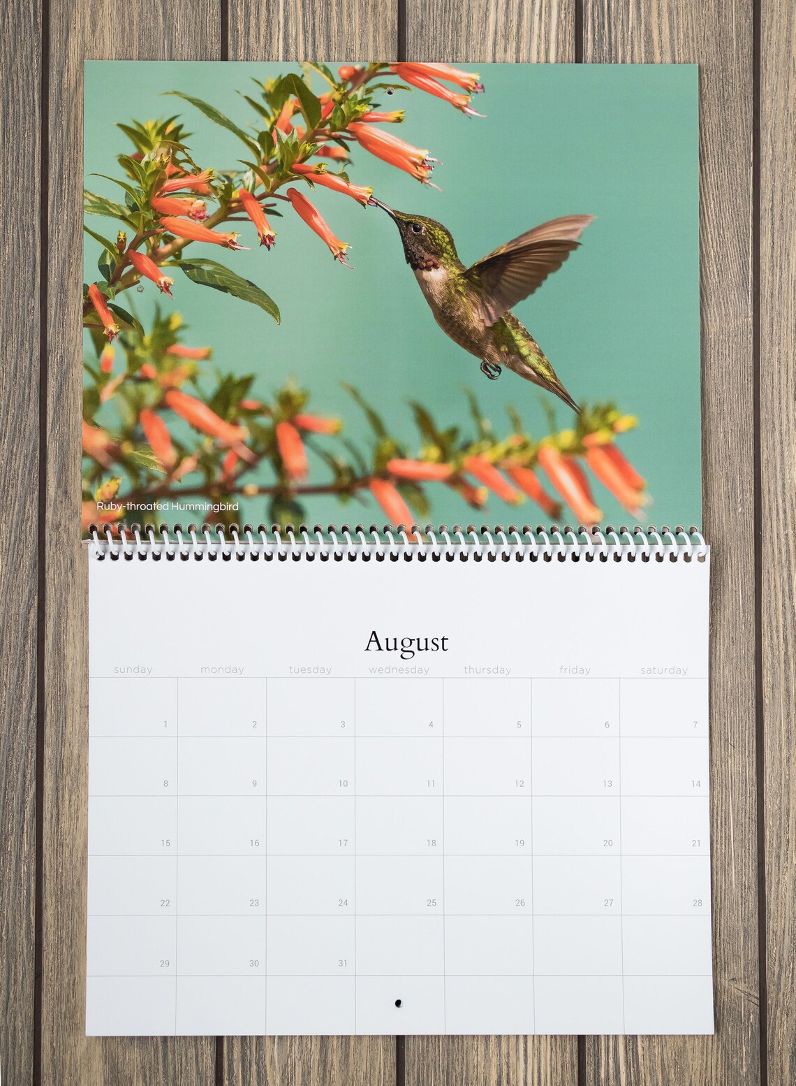 2021 Bird Wall Calendar Bird Calendar Songbird Calendar Etsy