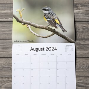 2024 Bird Wall Calendar, Songbird Calendar, Michigan Birds Calendar, Eastern Birds Calendar, Nature Calendar, Bird Photography Calendar image 7