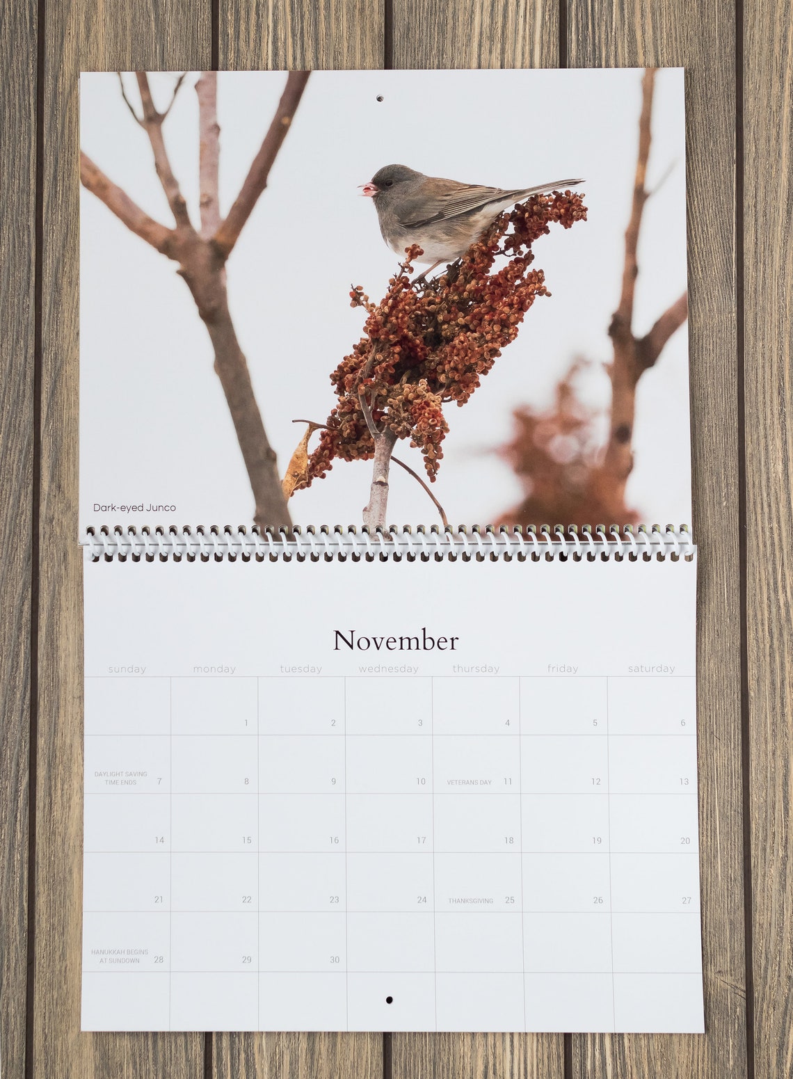 2021 Bird Wall Calendar Bird Calendar Songbird Calendar Etsy