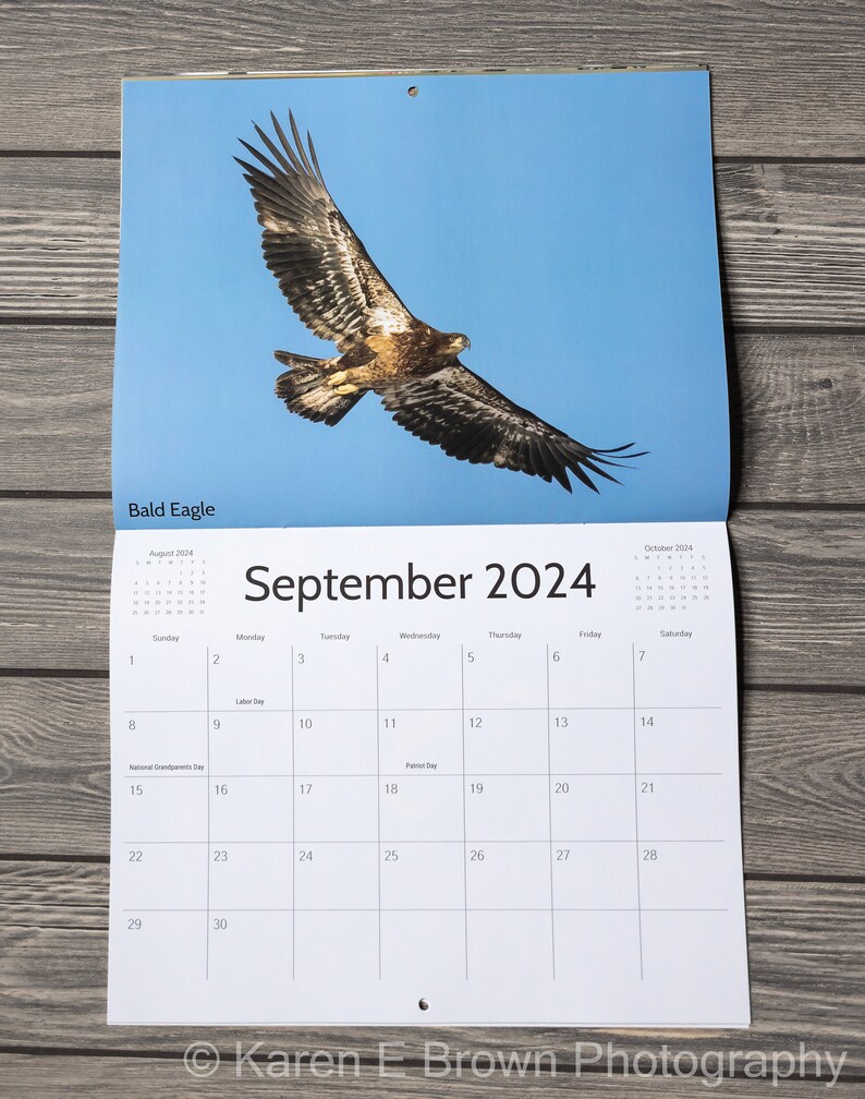 2024 Bird Wall Calendar, Songbird Calendar, Michigan Birds Calendar, Eastern Birds Calendar, Nature Calendar, Bird Photography Calendar image 8