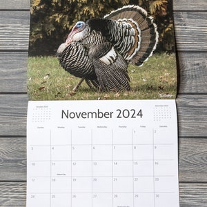 2024 Bird Wall Calendar, Songbird Calendar, Michigan Birds Calendar, Eastern Birds Calendar, Nature Calendar, Bird Photography Calendar image 9