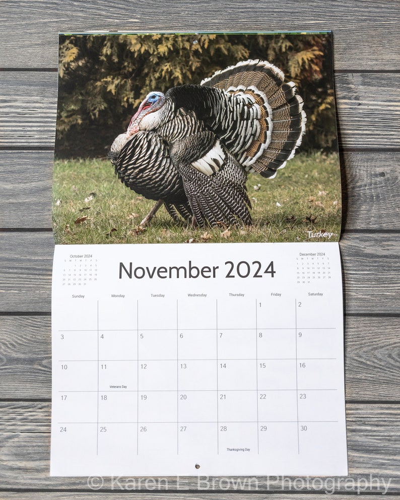 2024 Bird Wall Calendar, Songbird Calendar, Michigan Birds Calendar, Eastern Birds Calendar, Nature Calendar, Bird Photography Calendar image 9