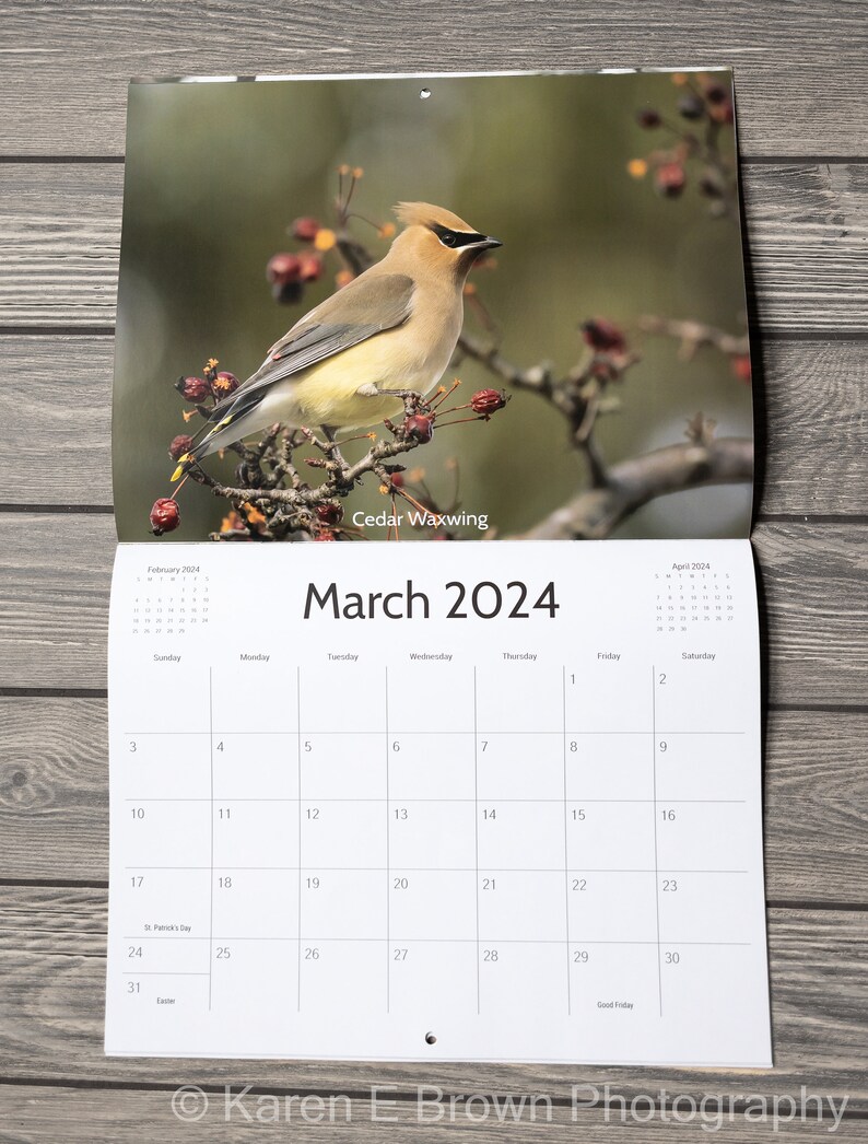 2024 Bird Wall Calendar, Songbird Calendar, Michigan Birds Calendar, Eastern Birds Calendar, Nature Calendar, Bird Photography Calendar image 4