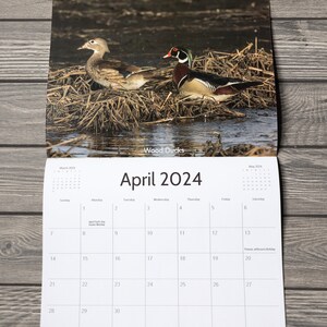 2024 Bird Wall Calendar, Songbird Calendar, Michigan Birds Calendar, Eastern Birds Calendar, Nature Calendar, Bird Photography Calendar image 5