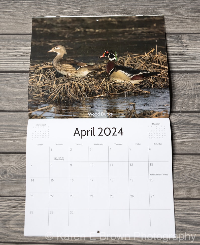 2024 Bird Wall Calendar, Songbird Calendar, Michigan Birds Calendar, Eastern Birds Calendar, Nature Calendar, Bird Photography Calendar image 5