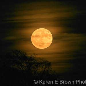 Moon Photography, Moon Print, Moon Picture, Harvest Moon, Golden Moon, Glowing Moon, Celestial Art, Moon Decor, Night Photography