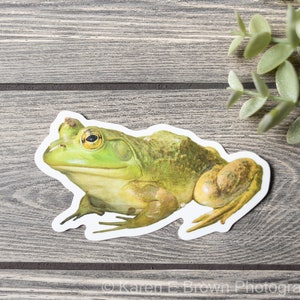 Frog Sticker, Die Cut Frog Sticker, Frog Photo Sticker, Bullfrog, Amphibian Sticker, Wildlife Sticker, Vinyl Frog Sticker, Laptop Sticker