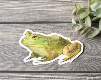 Frog Sticker, Die Cut Frog Sticker, Frog Photo Sticker, Bullfrog, Amphibian Sticker, Wildlife Sticker, Vinyl Frog Sticker, Laptop Sticker