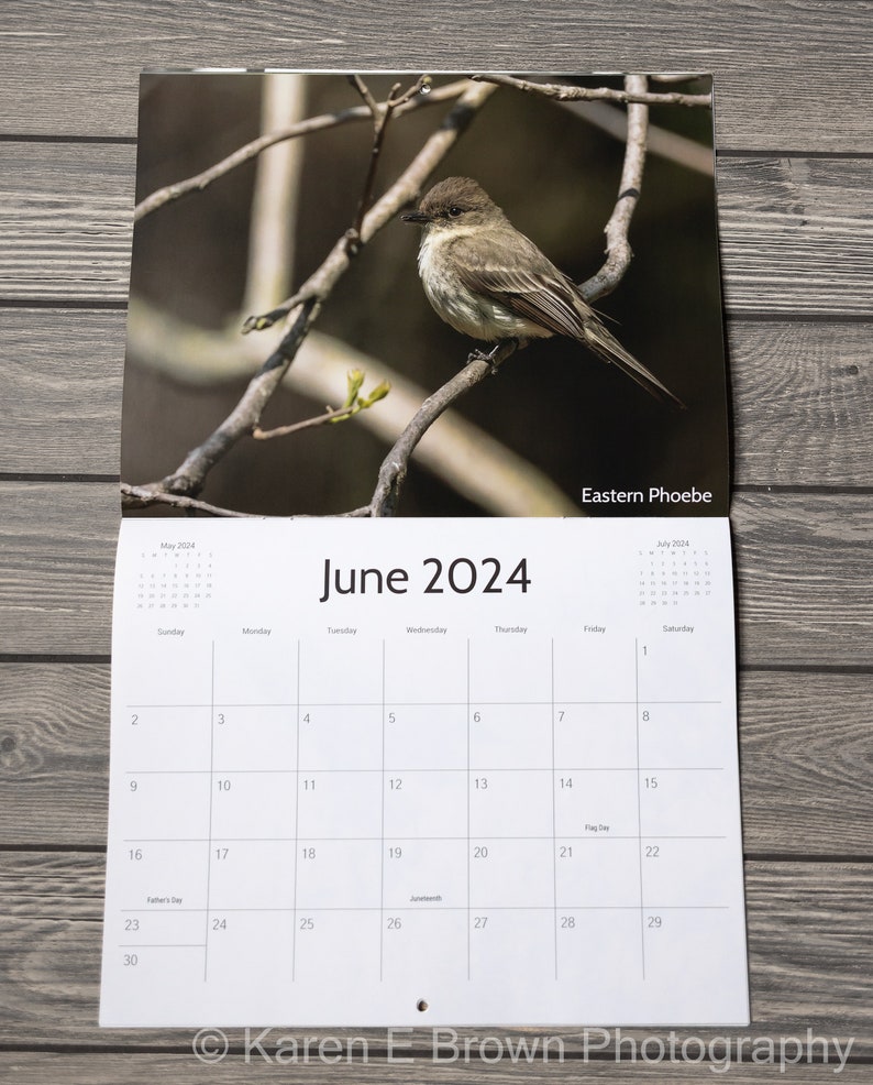 2024 Bird Wall Calendar, Songbird Calendar, Michigan Birds Calendar, Eastern Birds Calendar, Nature Calendar, Bird Photography Calendar image 6