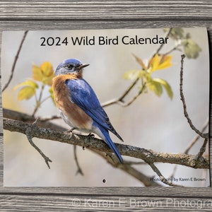 2024 Bird Wall Calendar, Songbird Calendar, Michigan Birds Calendar, Eastern Birds Calendar, Nature Calendar, Bird Photography Calendar image 1